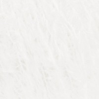 0001