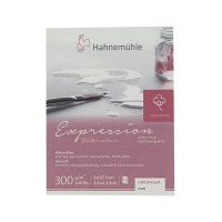 Expression 300g/m²