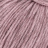 0019 Rosa