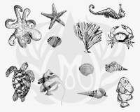 Sea Life