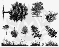 Botanical Trees