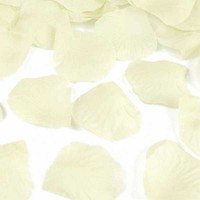 - CREME -