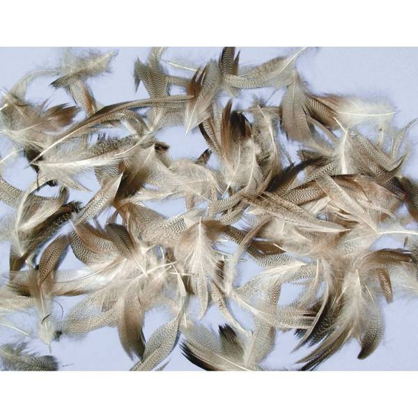Federmischung 7-9 cm, MIX, 10 g