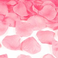 - ROSA -