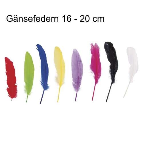 Gänsefedern 16 - 20 cm, 8 Stück