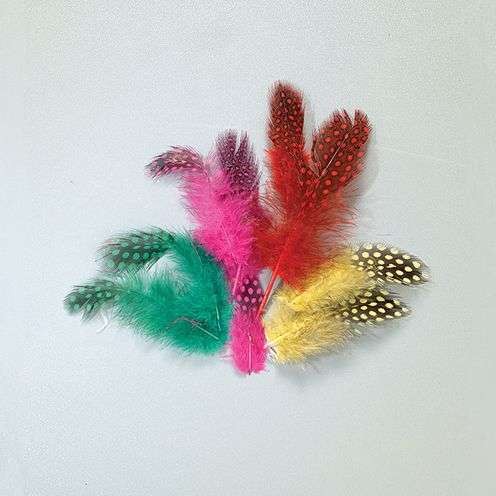 Guinea fowl feathers, assorted colors