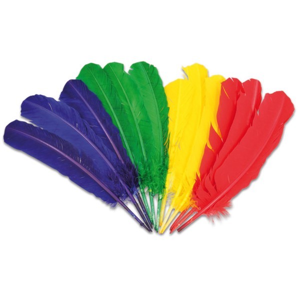 Große Kielfedern, Putenfedern, Indianerfedern 25-30cm bunt gemischt