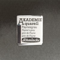 770 Paynesgrau
