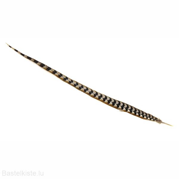 Königsfasanfeder natur ca. 90-100cm