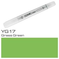 YG 17