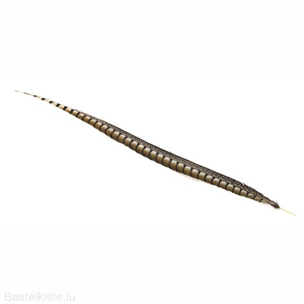 "Edelfasanfeder" Natur ca. 70-80cm