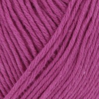 0064 Fuchsia