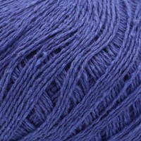 2009 Indigo