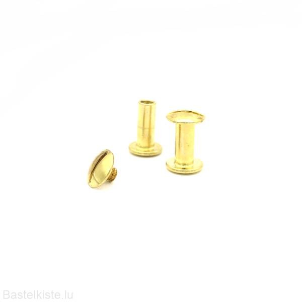Buchschrauben, Chicagoschrauben goldfarbig